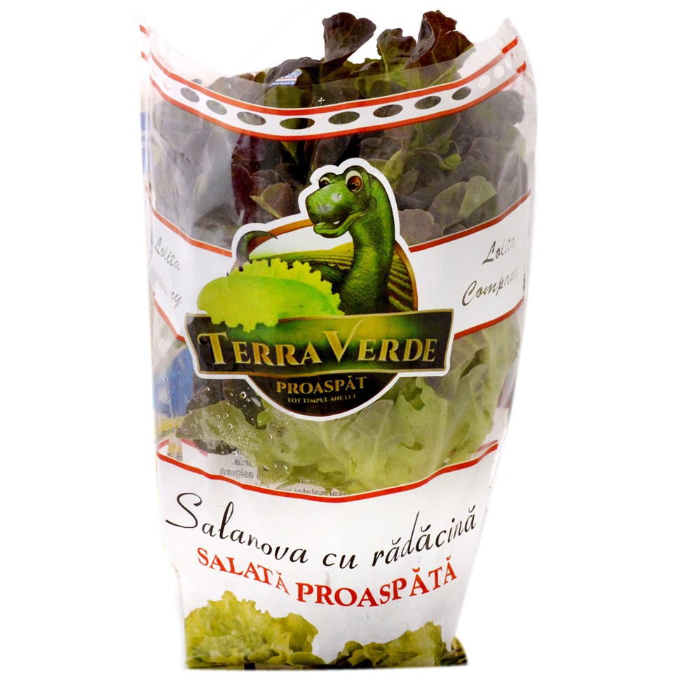 Salata verde cu radacini - buc
